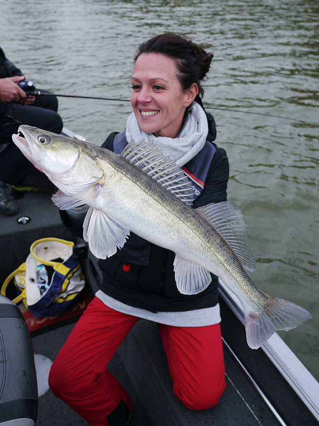 pro-guiding-zander16293