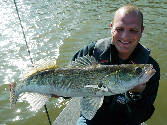 pro-guiding-zander16295