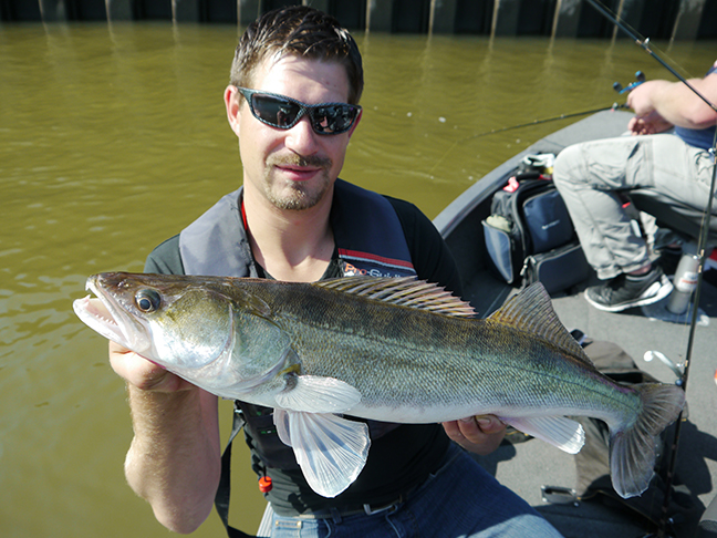 pro-guiding-zander16296