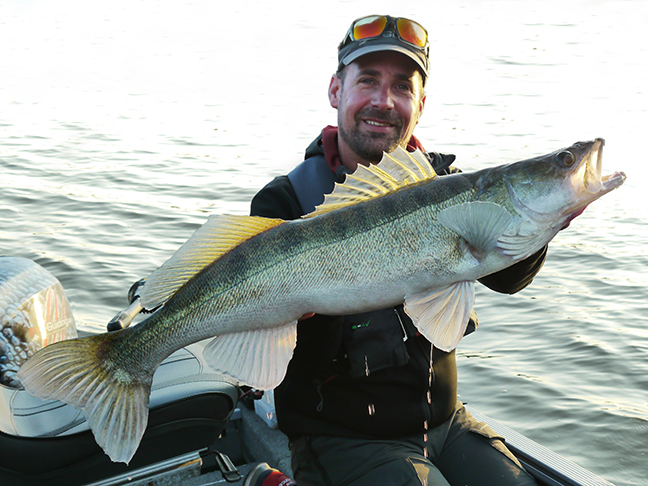 pro-guiding-zander16297