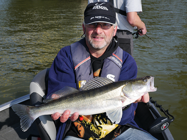 pro-guiding-zander16308