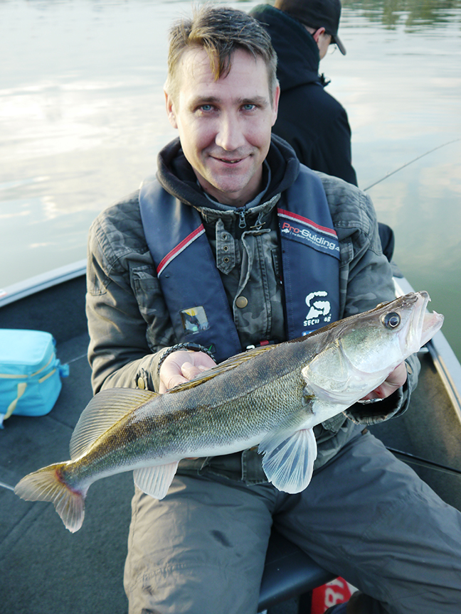 pro-guiding-zander16315