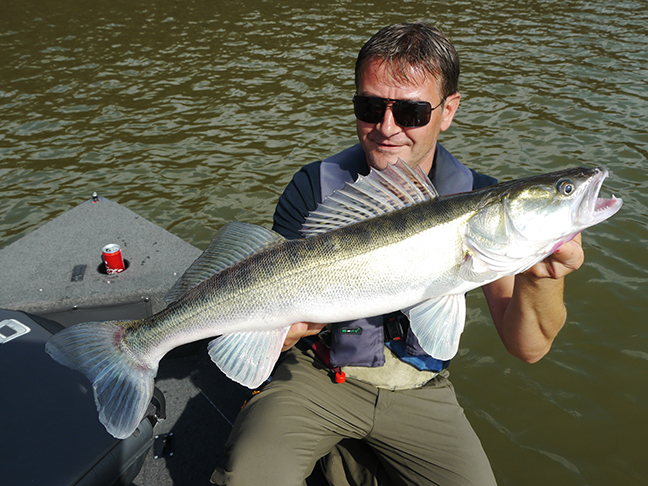 pro-guiding-zander16322