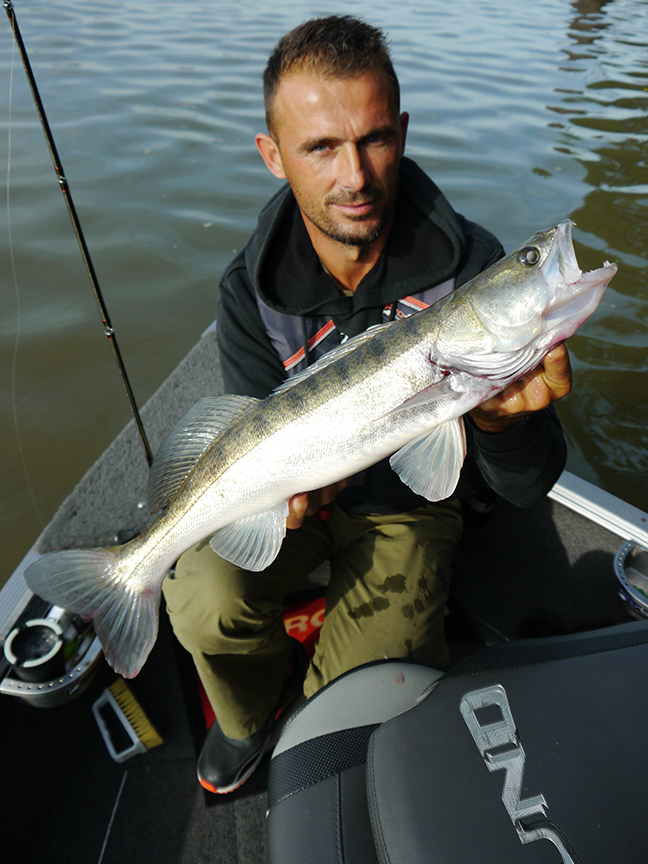 pro-guiding-zander16325