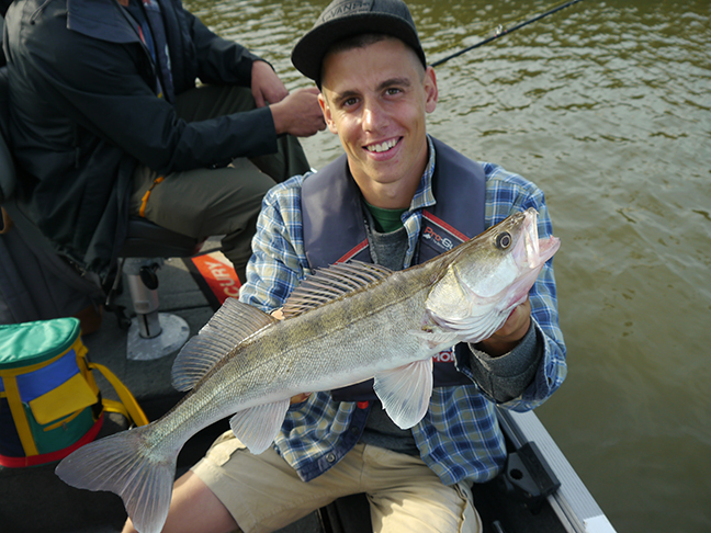 pro-guiding-zander16326