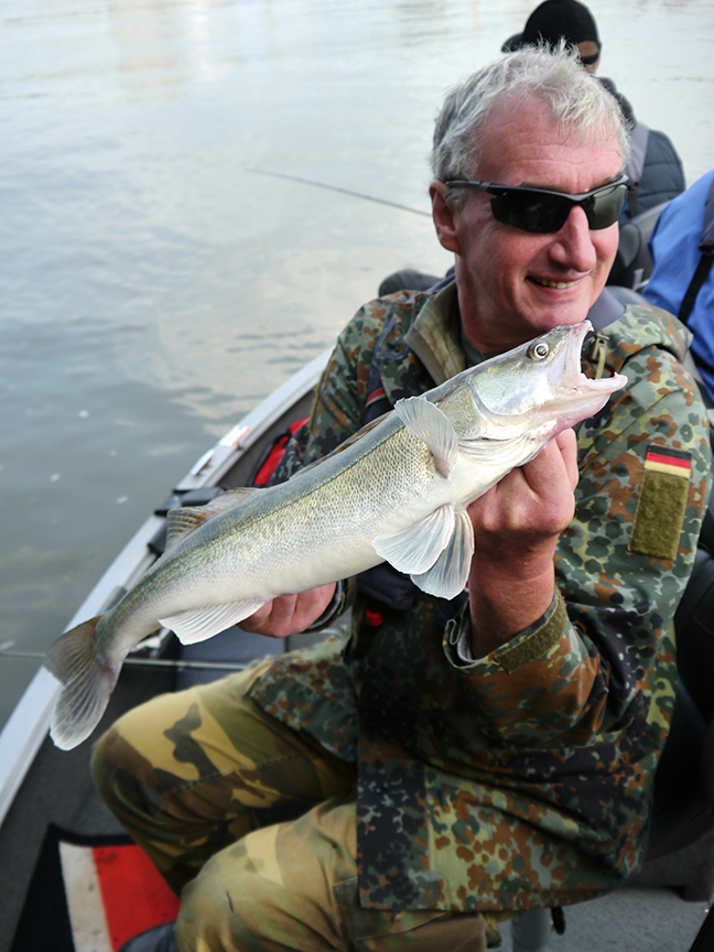 pro-guiding-zander16327