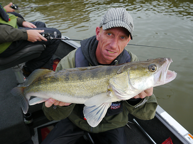 pro-guiding-zander16330