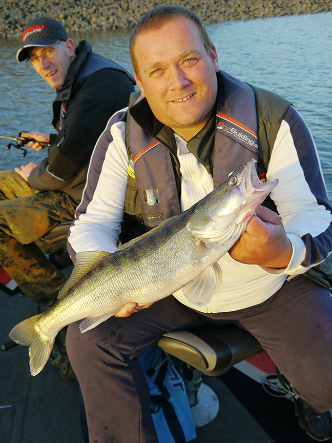 pro-guiding-zander16335