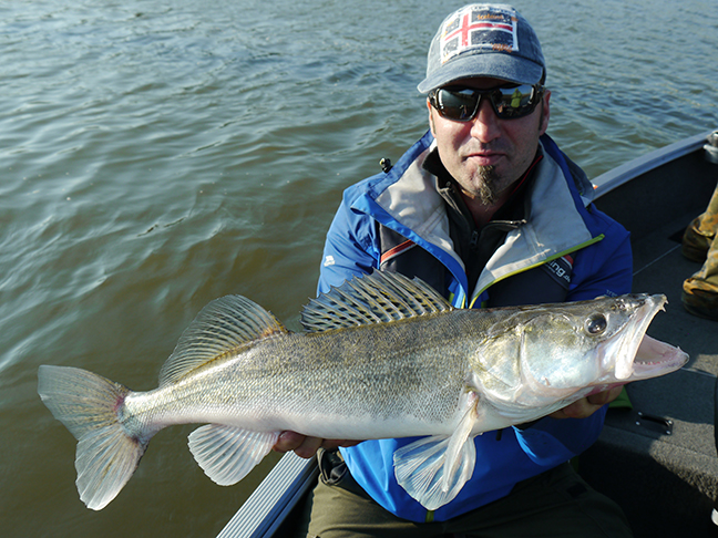 pro-guiding-zander16337