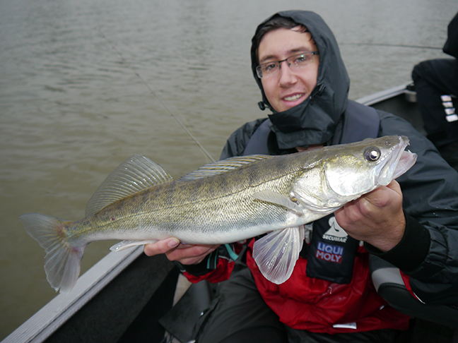 pro-guiding-zander16350
