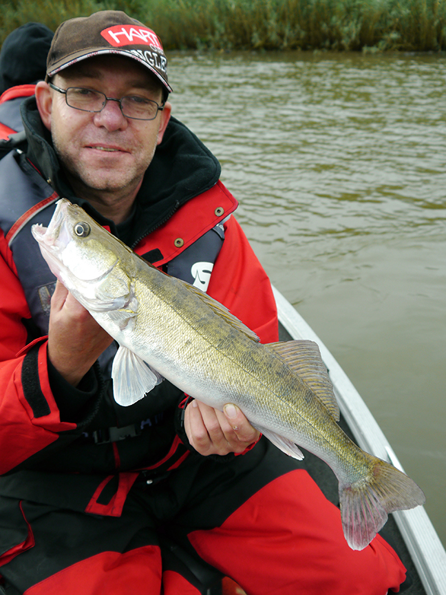 pro-guiding-zander16351