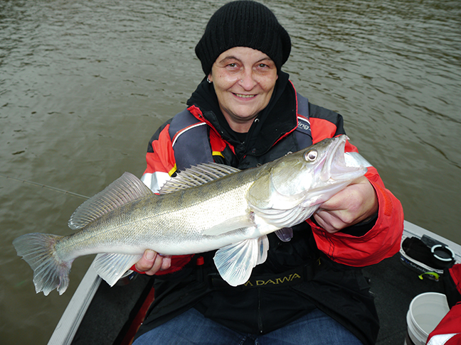 pro-guiding-zander16352