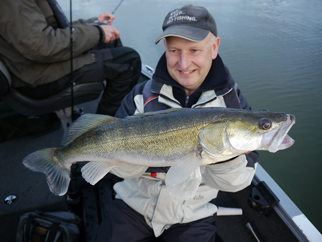 pro-guiding-zander16354