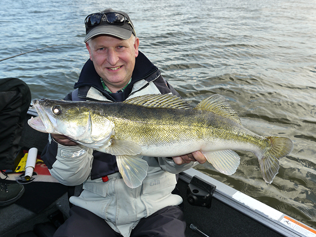 pro-guiding-zander16356