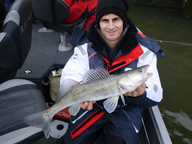 pro-guiding-zander16368