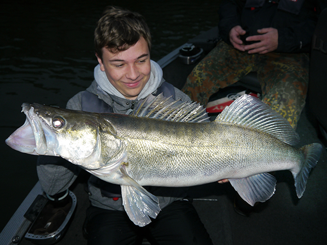 pro-guiding-zander16375