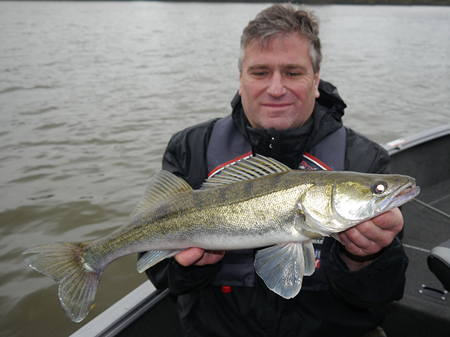pro-guiding-zander16377