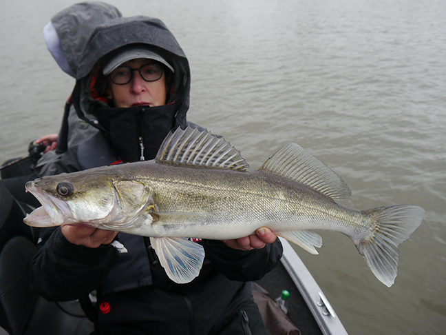 pro-guiding-zander16378