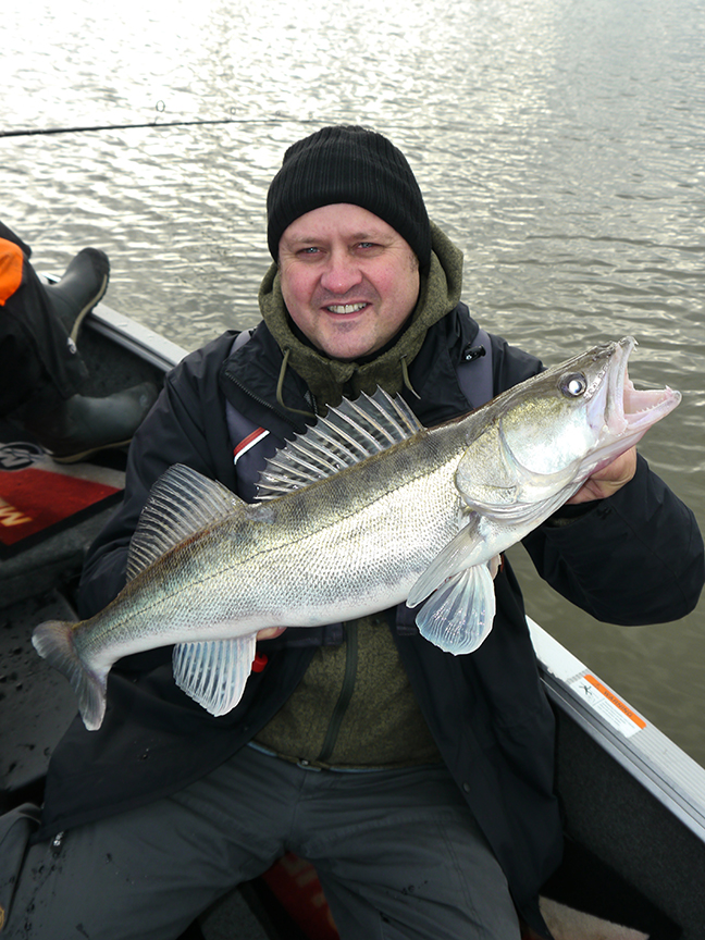 pro-guiding-zander16381