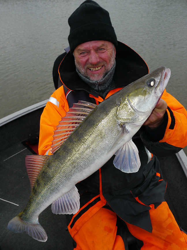 pro-guiding-zander16382