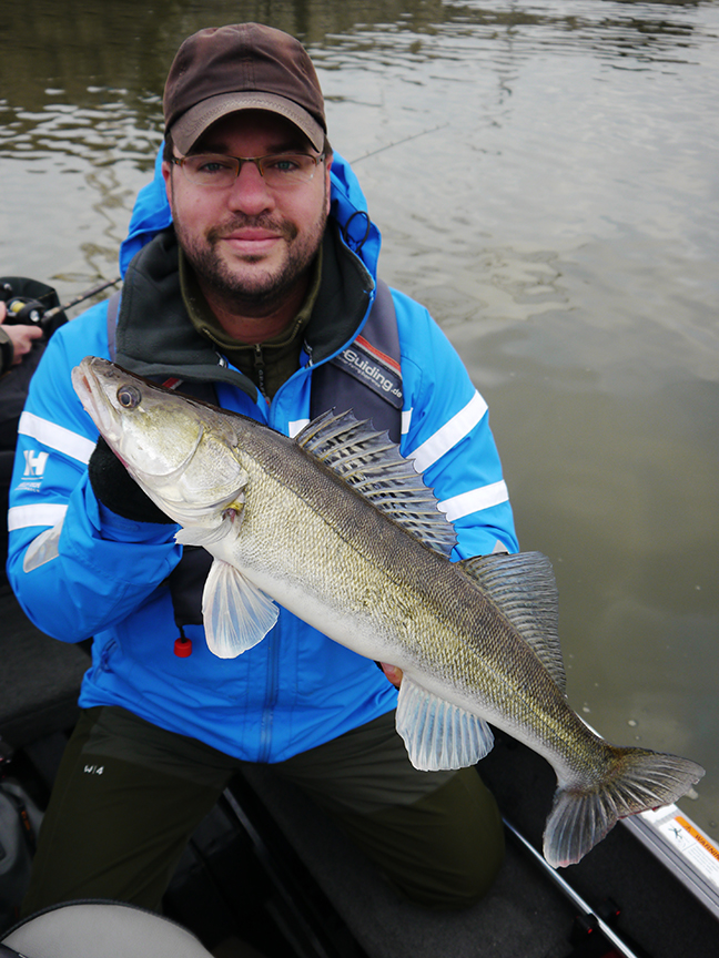 pro-guiding-zander16390
