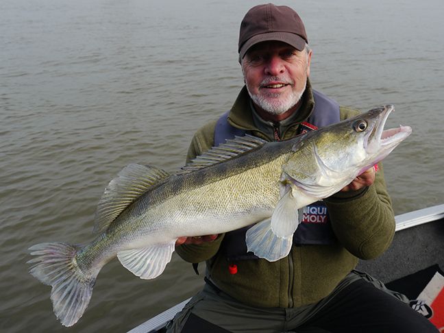 pro-guiding-zander16391