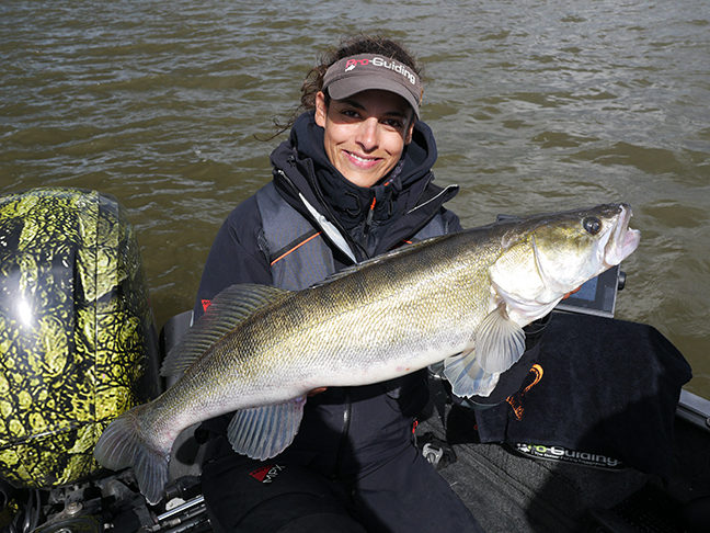 pro-guiding-zander16128