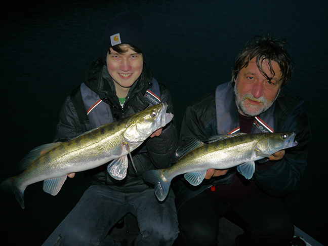 pro-guiding-zander16385