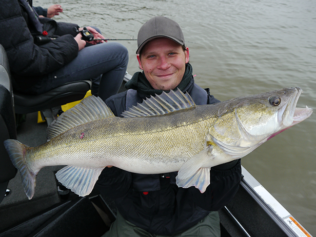 pro-guiding-zander16386