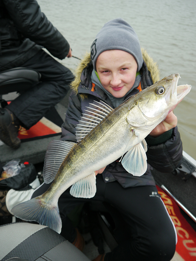 pro-guiding-zander16394