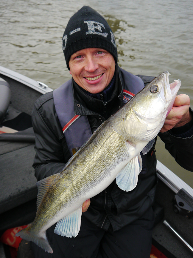 pro-guiding-zander16396