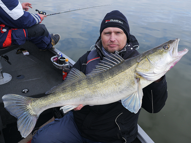 pro-guiding-zander16399