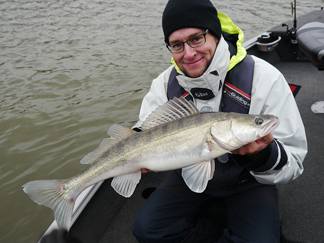 pro-guiding-zander16403