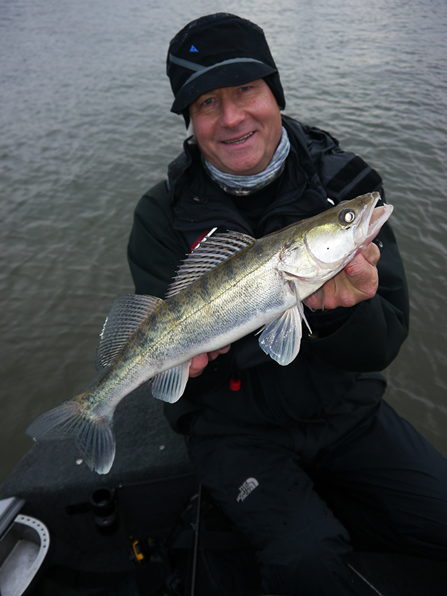 pro-guiding-zander16406