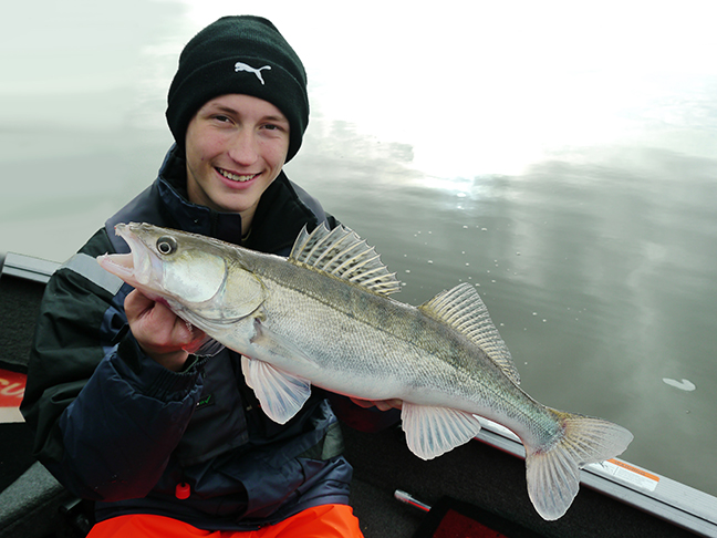 pro-guiding-zander16411