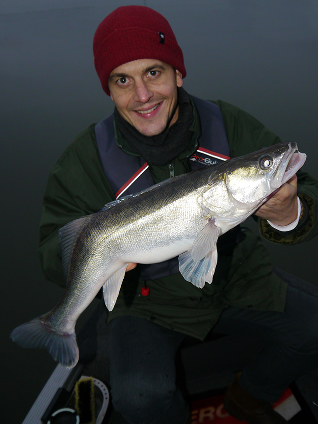 pro-guiding-zander16414