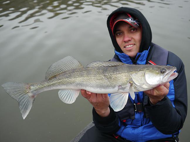 pro-guiding-zander16417