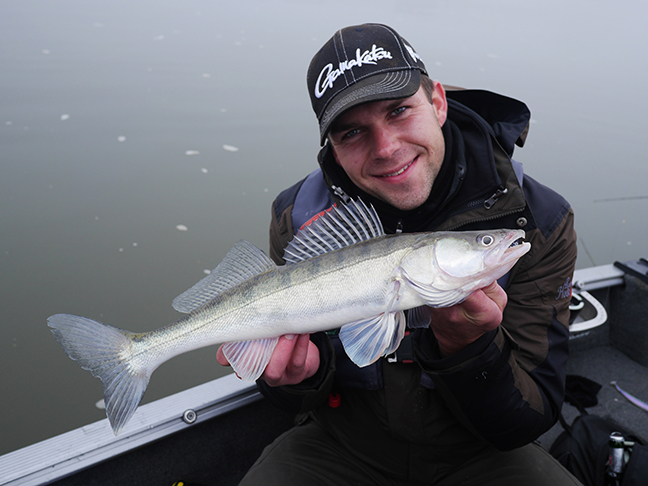 pro-guiding-zander16423
