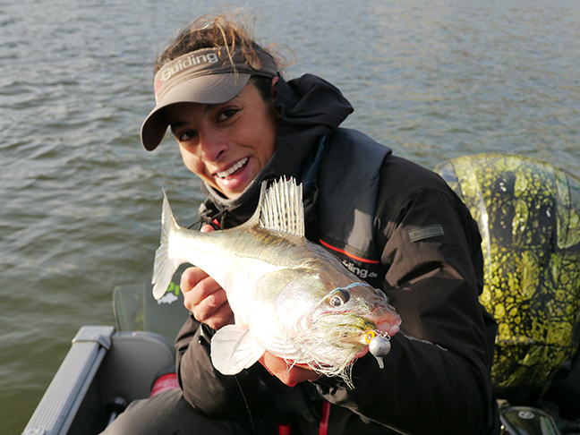 pro-guiding-zander16495