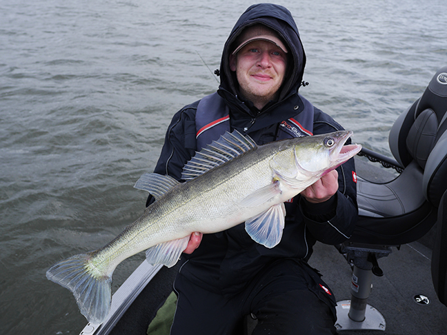 pro-guiding-zander16499