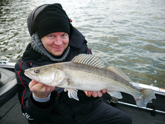 pro-guiding-zander16470