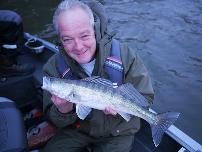 pro-guiding-zander16474
