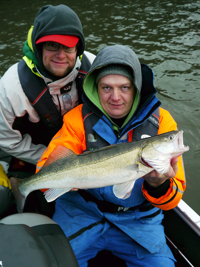 pro-guiding-zander16476