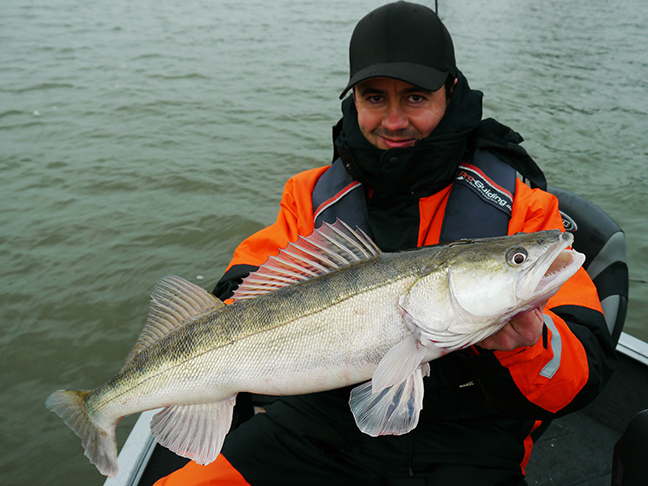 pro-guiding-zander16479