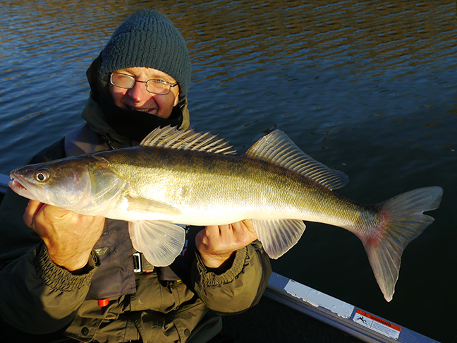 pro-guiding-zander16482