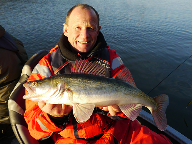 pro-guiding-zander16484