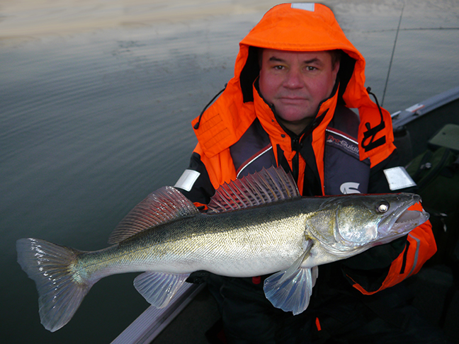 pro-guiding-zander16485