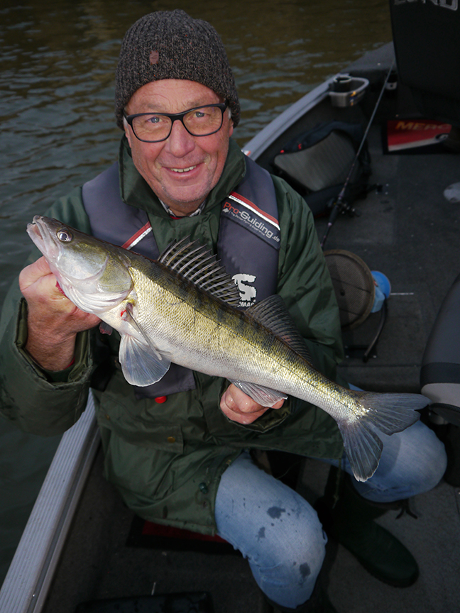 pro-guiding-zander16490