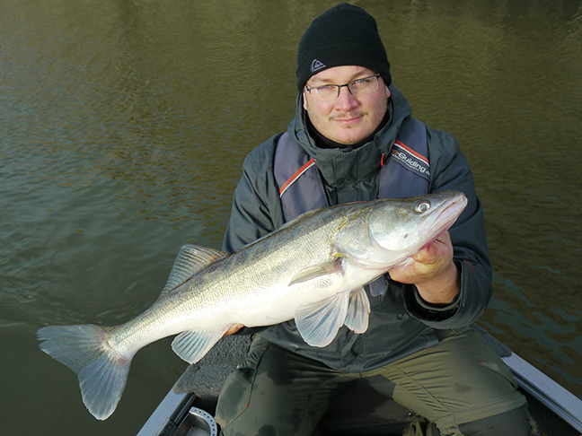 pro-guiding-zander16492