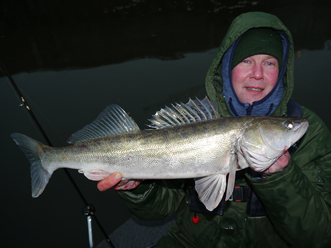 pro-guiding-zander16503